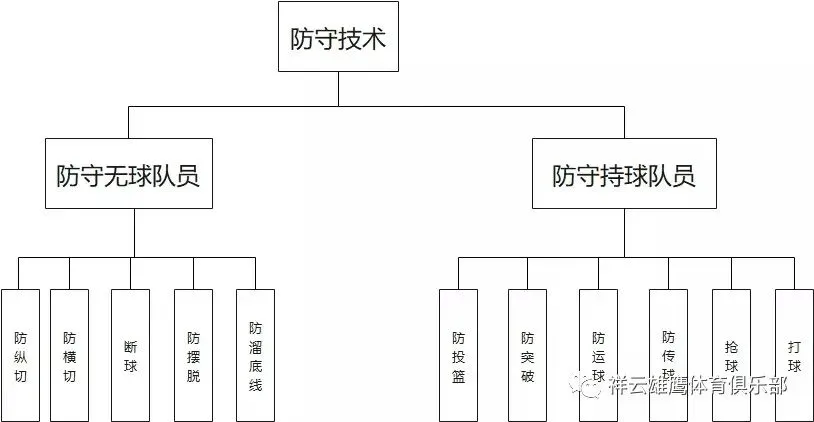 如何通过团队协作策略提升整体篮球水平_0